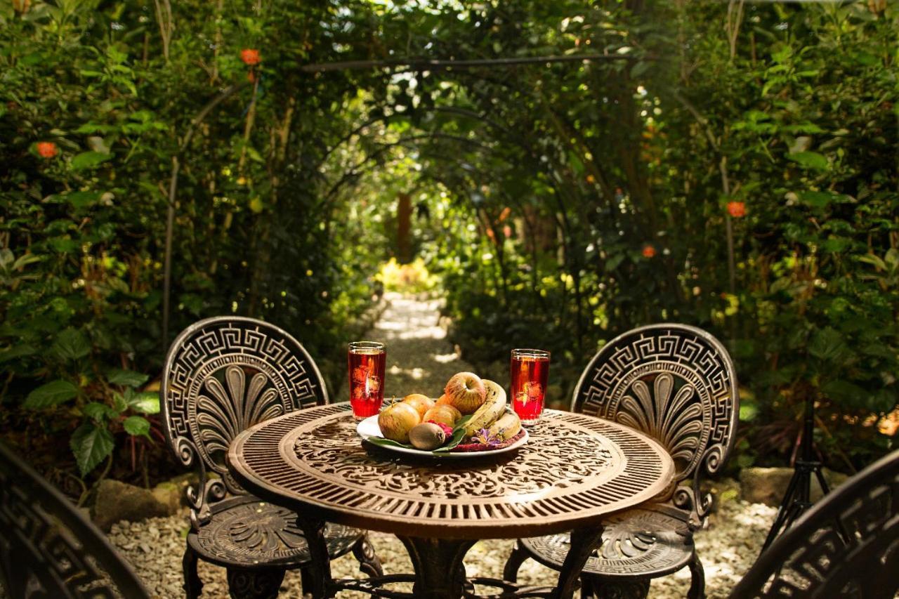Itchimbia Garden Ayampe Montana Y Mar Villa Dış mekan fotoğraf